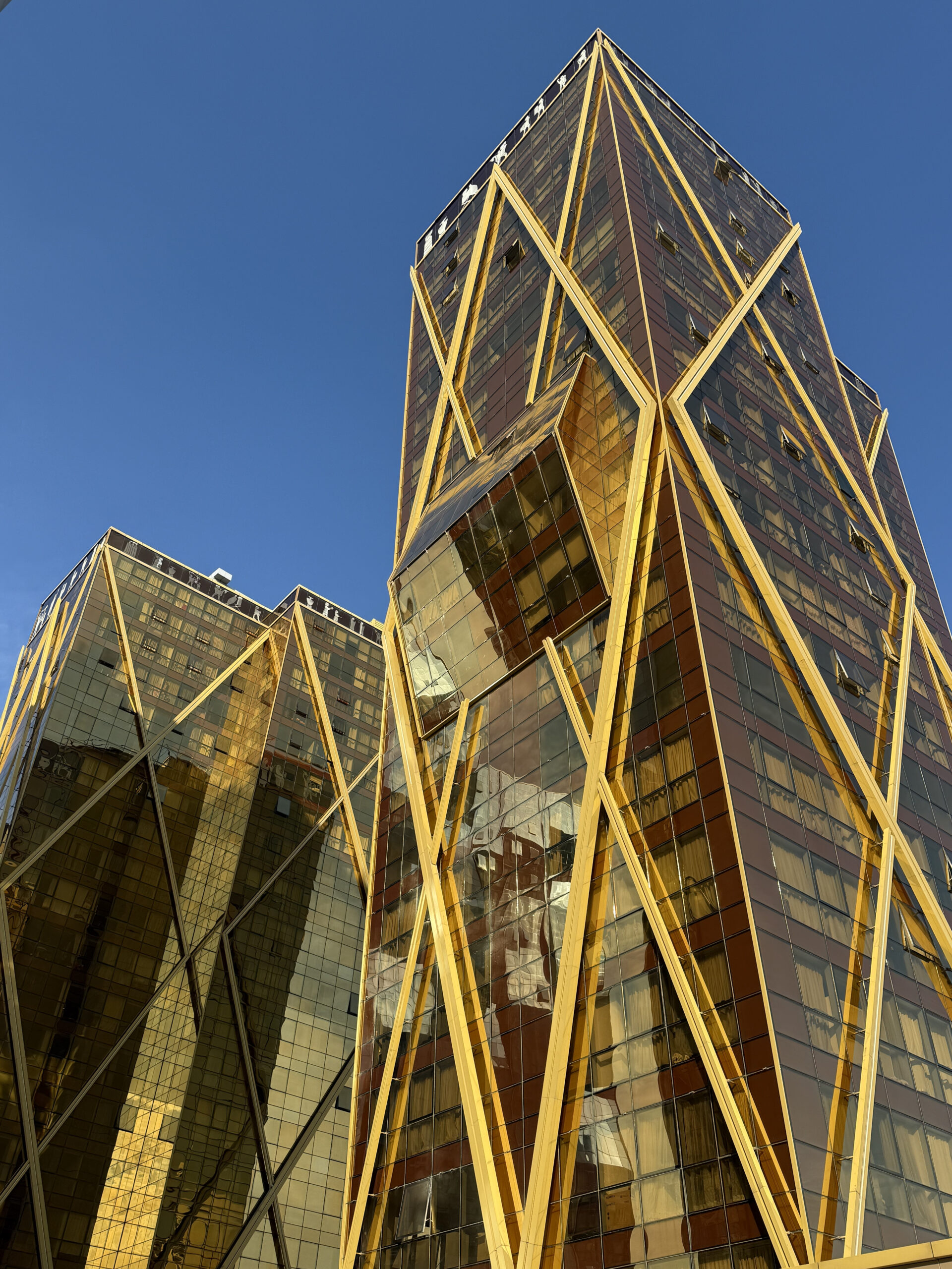 Best Go Far DAP Vazo Ofis